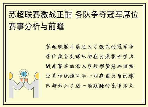 苏超联赛激战正酣 各队争夺冠军席位赛事分析与前瞻