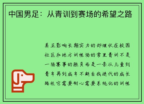 中国男足：从青训到赛场的希望之路